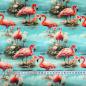 Preview: Jersey Baumwolle Red Flamingo von Stenzo | Meterware